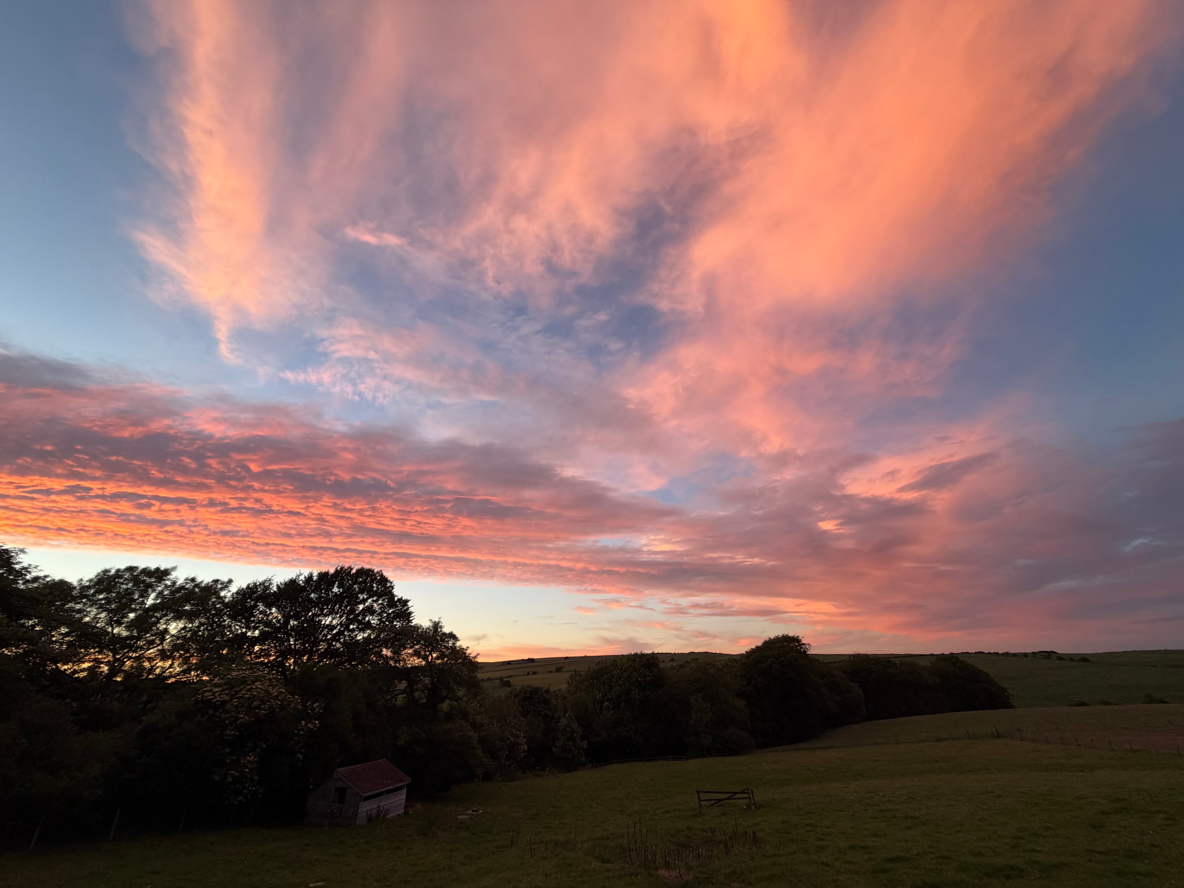 Farmland behind the barns at sunset